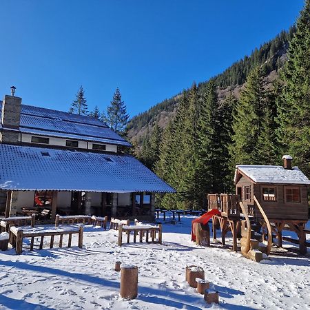Cabana Conacul Ursului Cumpăna Exteriör bild